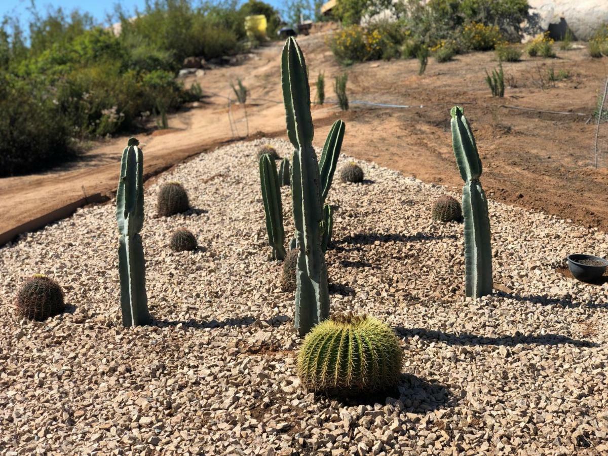 Casa Misiones Glamping Hotel Guadalupe Eksteriør billede